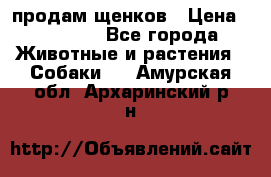 продам щенков › Цена ­ 15 000 - Все города Животные и растения » Собаки   . Амурская обл.,Архаринский р-н